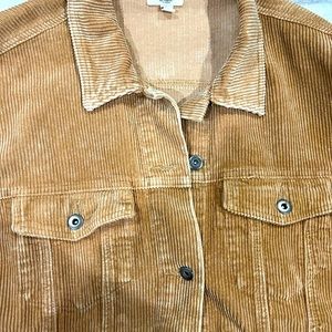 Easel jacket